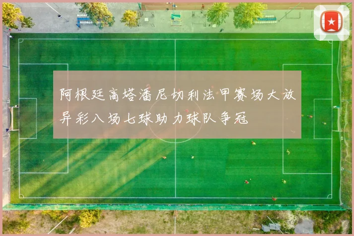 阿根廷高塔潘尼切利法甲赛场大放异彩八场七球助力球队争冠