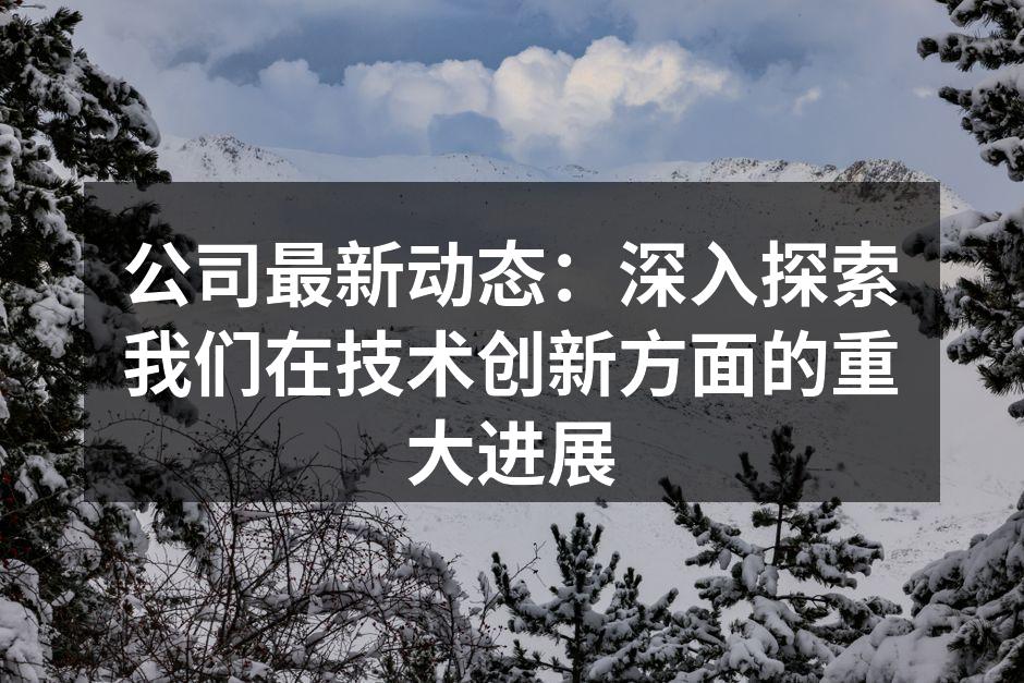 公司最新动态:深入探索我们在技术创新方面